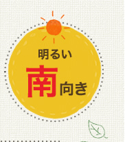 邢